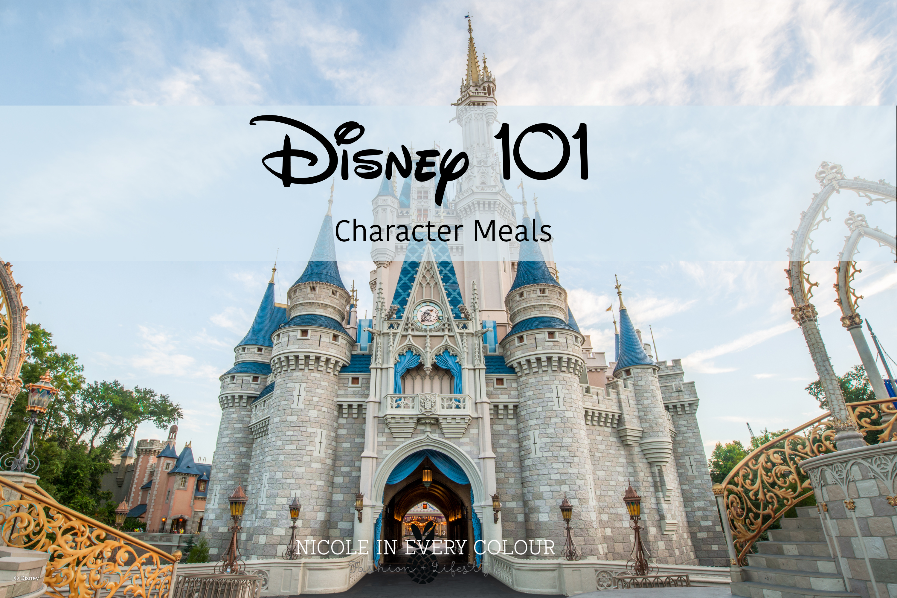 Disney Character Meals are a must stop when visiting the happiest place on earth!